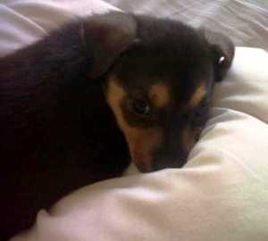 IMG00189-20111114-1119