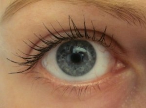 Maybelline Illegal Lengths mascara