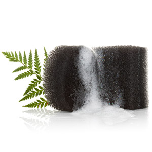 body_detoxifying4_lg