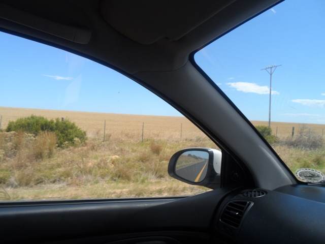 Life is a highway, I wanna drive it all day long 