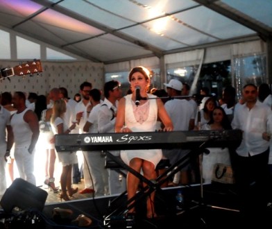 'Eagle flies... into the window...'