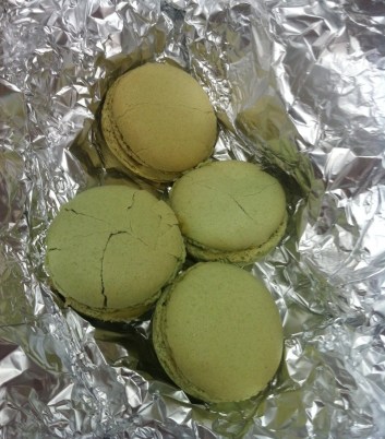 These boys and an array of painkillers saved my life.