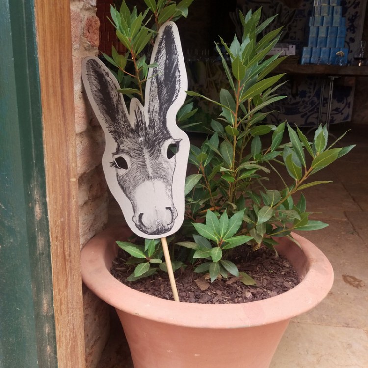 The Babylonstoren donkey waves good bye!