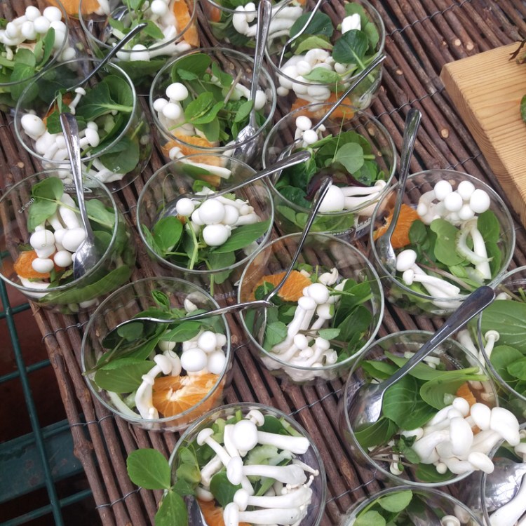 Mushroom salad over which a mushroom broth was poured.