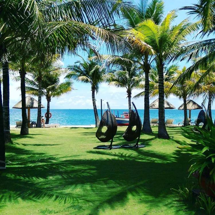 13631635_10157277459440037_2582850538030594931_n