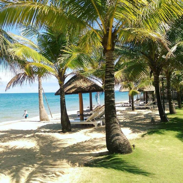 13709955_10157277455730037_2847736122055102922_n