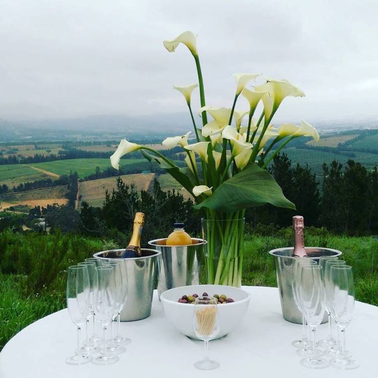 It was a misty day so you can't see the rolling hills but trust me, it was mooiness deluxe.