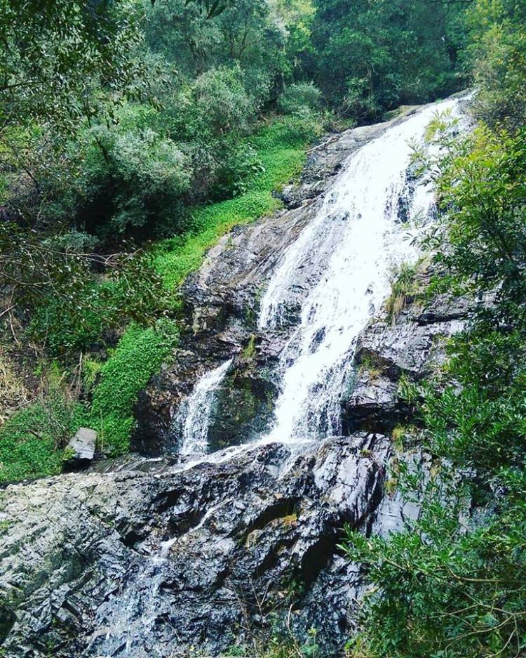 Here's the water fall which we were all only too happy to chase, TLC be damned.