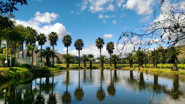 I'm pretty proud of this piccie, actually.