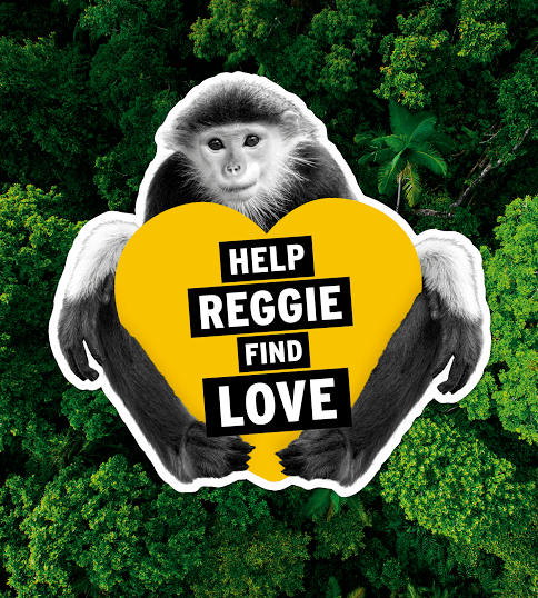 To follow the journey, you can search #findreggielove on social media.