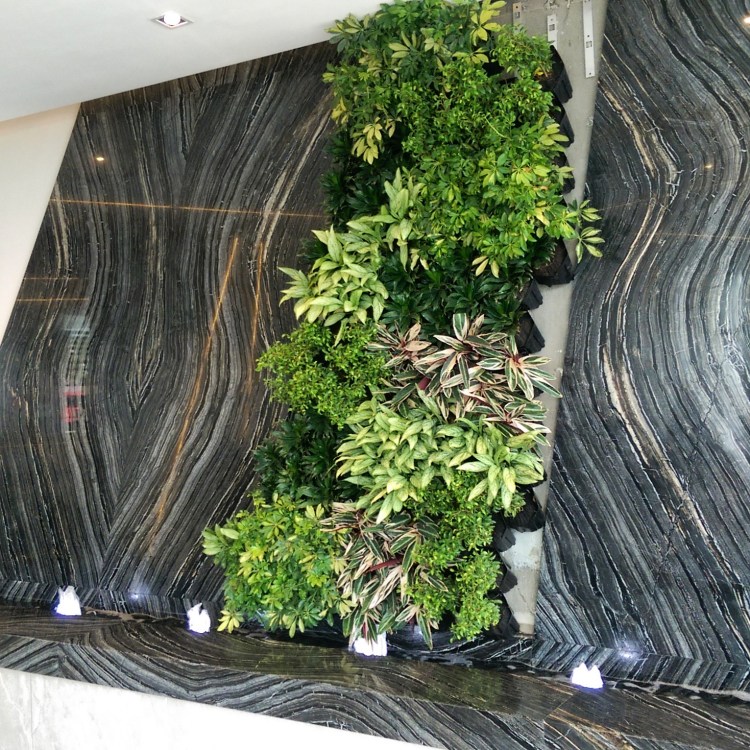 This pic doesn't really do this water and wall feature justice.