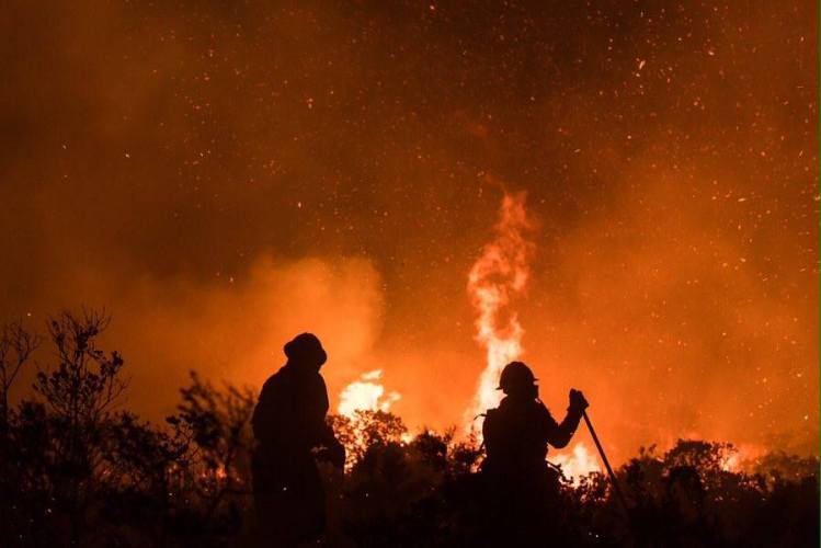 22449862_1482509795195742_4726689824696945010_n