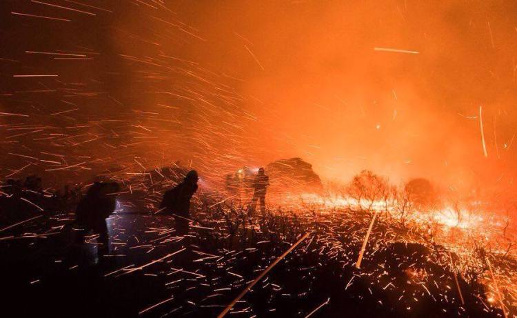 22491487_1480861372027251_7603770079594674944_n