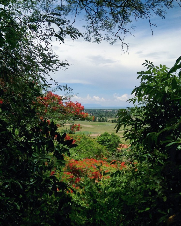 IMG_20180508_154428_371