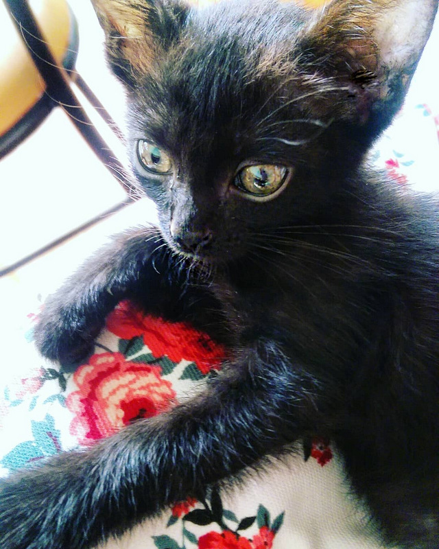 IMG_20180601_214209_074