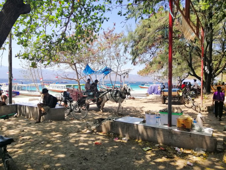 IMG_20180913_111755_450