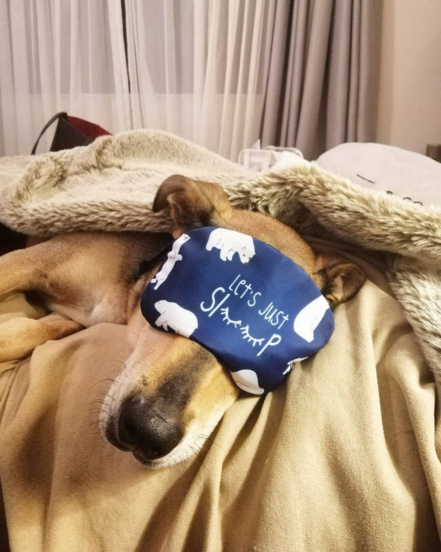 IMG_20190501_194849_401