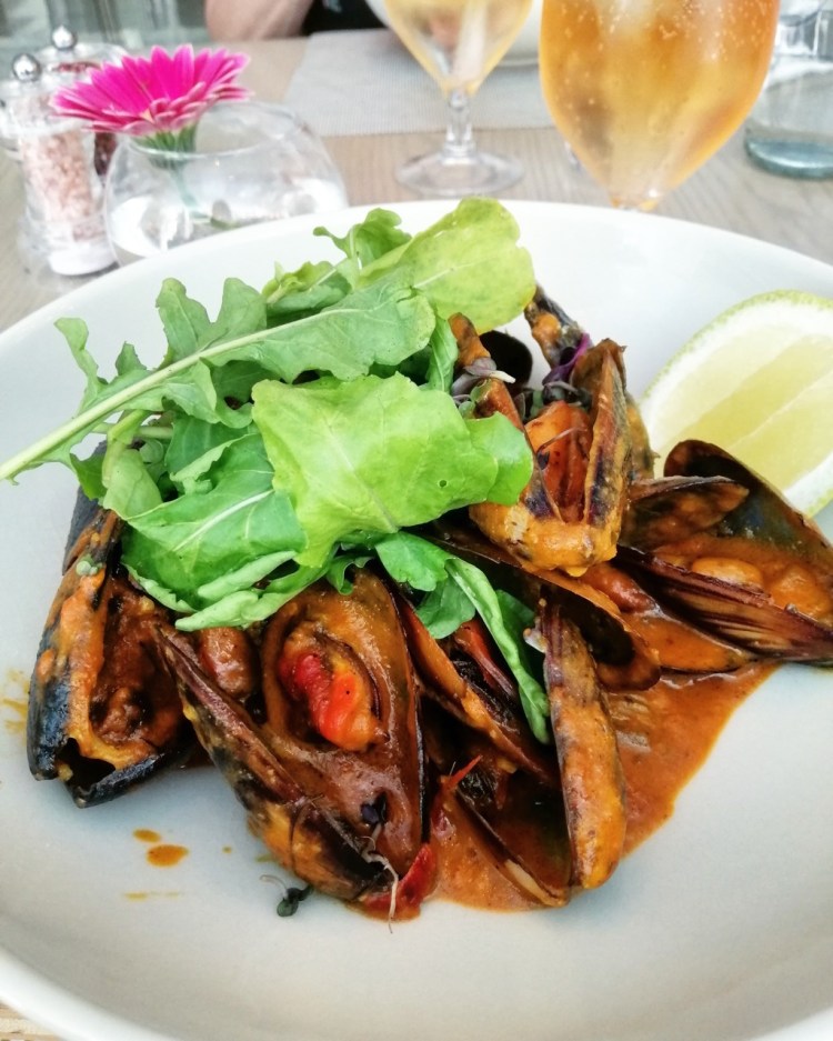 IMG_20191104_165139_008 (1)