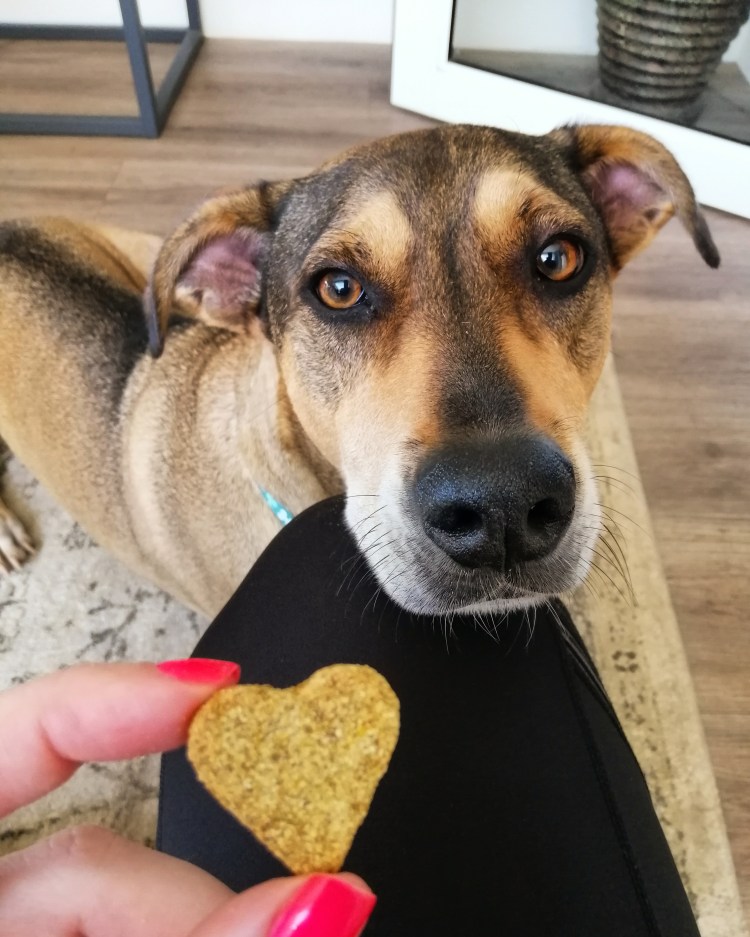 20200126682200199492196515