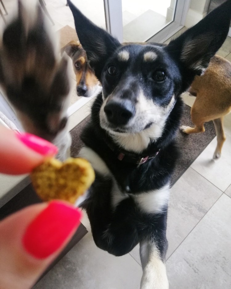 IMG_20200106_100131_910